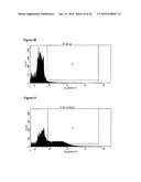 IMPROVED SURFACE DISPLAY OF FUNCTIONAL PROTEINS IN A BROAD RANGE OF GRAM     NEGATIVE BACTERIA diagram and image