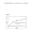 IMPROVED SURFACE DISPLAY OF FUNCTIONAL PROTEINS IN A BROAD RANGE OF GRAM     NEGATIVE BACTERIA diagram and image