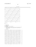 IMPROVED SURFACE DISPLAY OF FUNCTIONAL PROTEINS IN A BROAD RANGE OF GRAM     NEGATIVE BACTERIA diagram and image