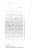 IMPROVED SURFACE DISPLAY OF FUNCTIONAL PROTEINS IN A BROAD RANGE OF GRAM     NEGATIVE BACTERIA diagram and image