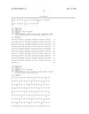 IMPROVED SURFACE DISPLAY OF FUNCTIONAL PROTEINS IN A BROAD RANGE OF GRAM     NEGATIVE BACTERIA diagram and image