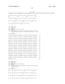 IMPROVED SURFACE DISPLAY OF FUNCTIONAL PROTEINS IN A BROAD RANGE OF GRAM     NEGATIVE BACTERIA diagram and image