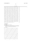 IMPROVED SURFACE DISPLAY OF FUNCTIONAL PROTEINS IN A BROAD RANGE OF GRAM     NEGATIVE BACTERIA diagram and image