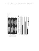 ATSP1, AN E3 UBIQUITIN LIGASE, AND ITS USE diagram and image