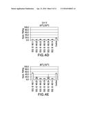 HERBICIDE TOLERANCE GENES AND METHODS OF USE THEREOF diagram and image