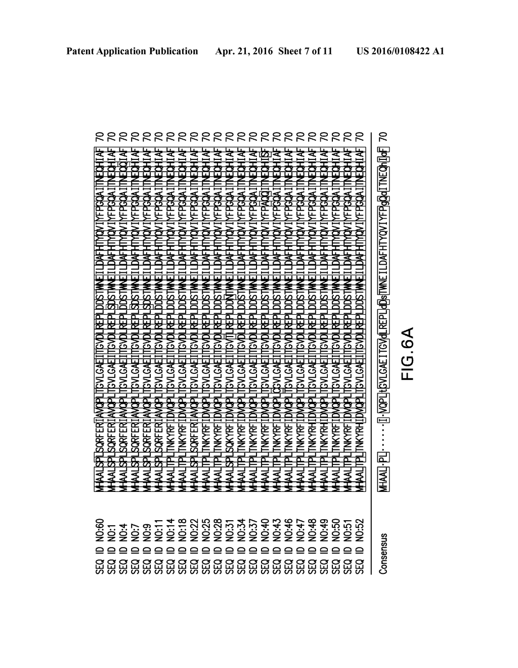 HERBICIDE TOLERANCE GENES AND METHODS OF USE THEREOF - diagram, schematic, and image 08