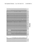 HERBICIDE TOLERANCE GENES AND METHODS OF USE THEREOF diagram and image