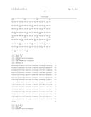 HERBICIDE TOLERANCE GENES AND METHODS OF USE THEREOF diagram and image