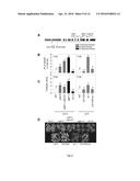 METHOD FOR INCREASING PATHOGEN RESISTANCE IN PLANTS diagram and image