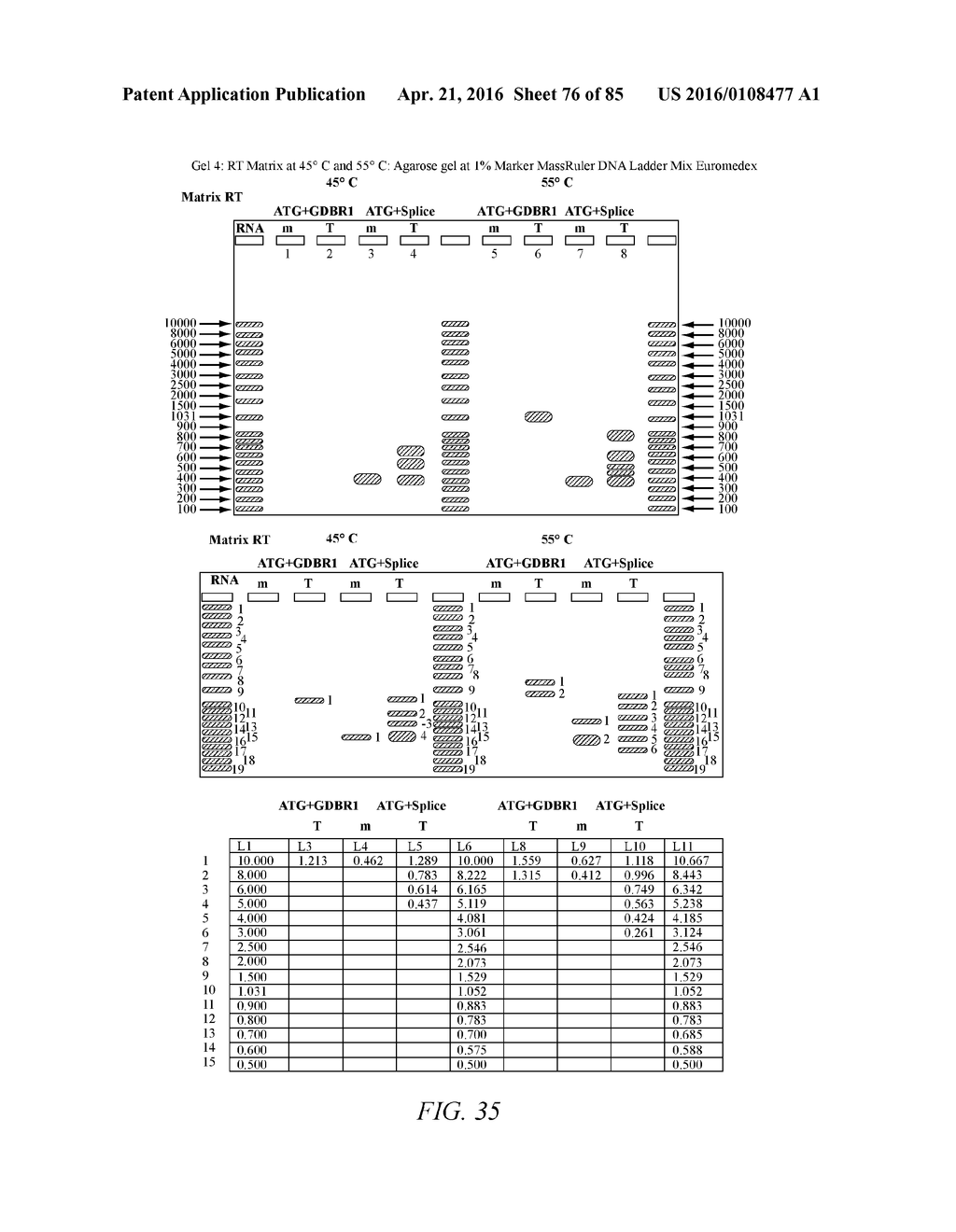 Traceability of Cellular Cycle Anomalies Targeting Oncology and     Neurodegeneration - diagram, schematic, and image 77