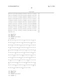 COMPOSITIONS AND METHODS FOR MULTIPLEX ANALYSIS OF NRAS AND BRAF NUCLEIC     ACIDS diagram and image