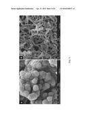 CELLULOSE NANOCRYSTAL (CNC) FILMS AND CONDUCTIVE CNC-BASED POLYMER FILMS     PRODUCED USING ELECTROCHEMICAL TECHNIQUES diagram and image