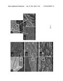 CELLULOSE NANOCRYSTAL (CNC) FILMS AND CONDUCTIVE CNC-BASED POLYMER FILMS     PRODUCED USING ELECTROCHEMICAL TECHNIQUES diagram and image