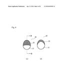 Substrate for Surface Enhanced Raman Scattering Spectroscopy and Devices     Using Same diagram and image