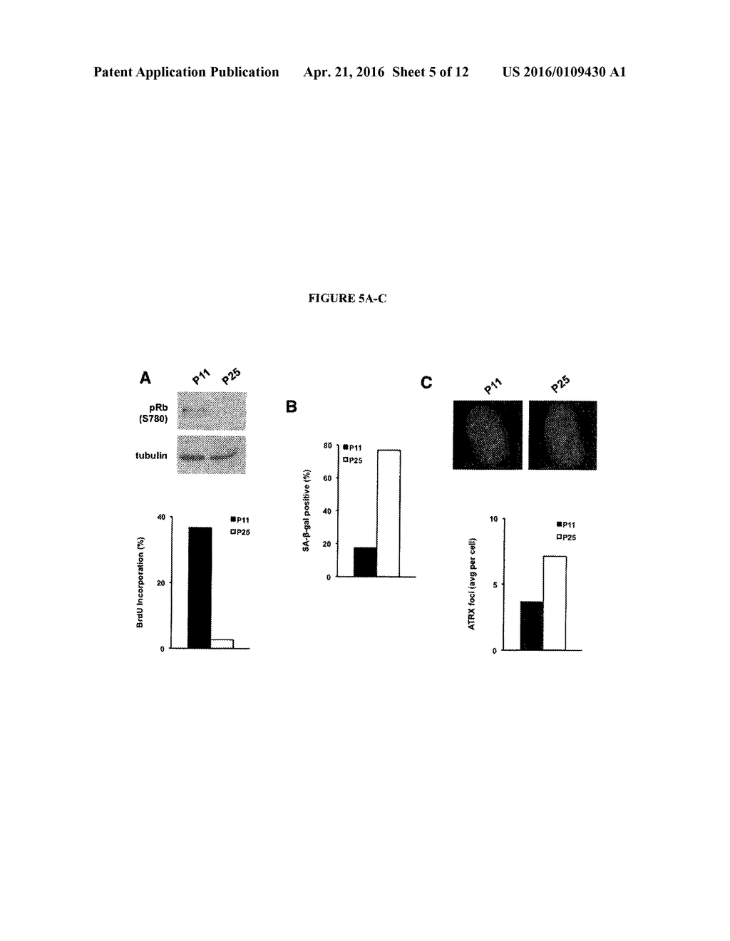 METHODS FOR DRUG DISCOVERY - diagram, schematic, and image 06