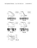 METHODS AND MATERIALS FOR ASSESSING PLURIPOTENCY OF STEM CELL POPULATIONS diagram and image