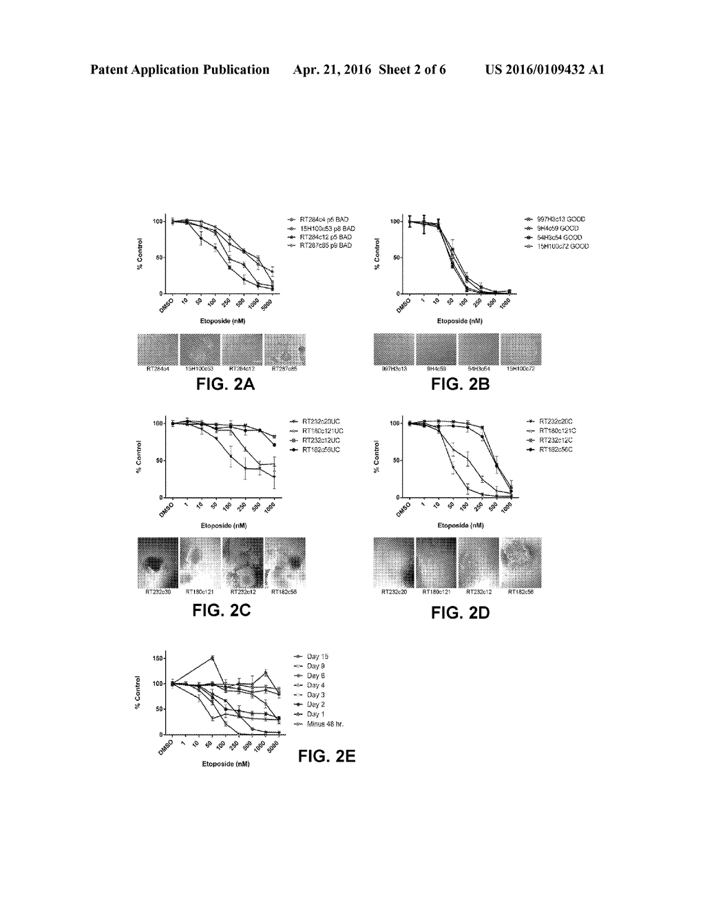 METHODS AND MATERIALS FOR ASSESSING PLURIPOTENCY OF STEM CELL POPULATIONS - diagram, schematic, and image 03