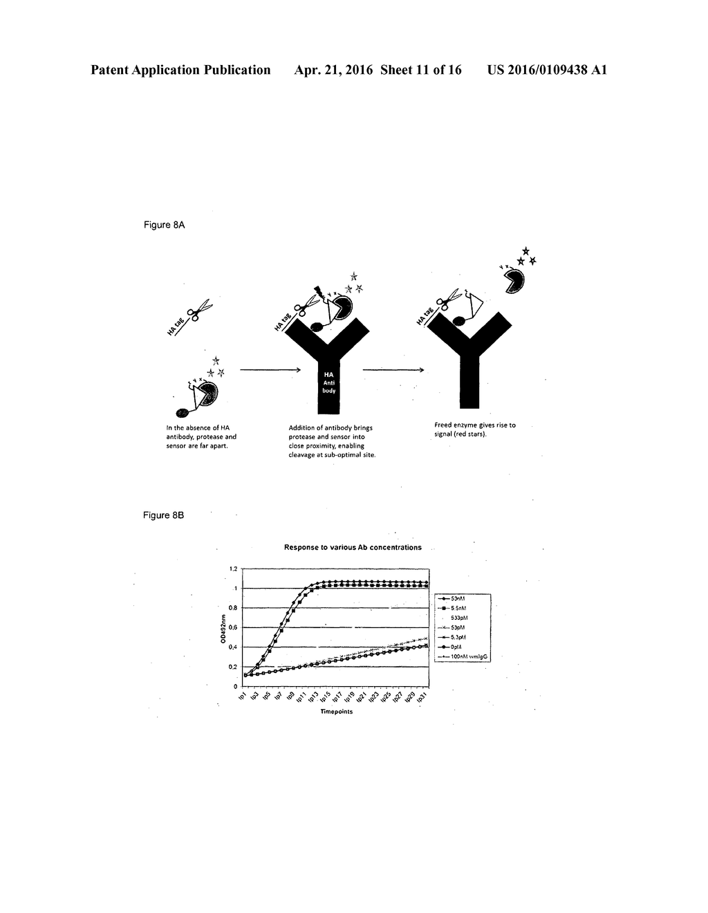 PROTEASE-RESPONSIVE PEPTIDE BIOSENSORS AND METHODS FOR ANALYTE DETECTION - diagram, schematic, and image 12