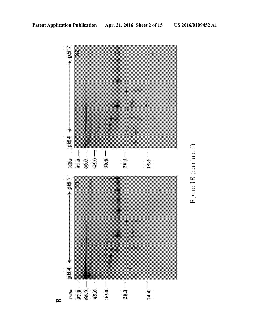 LUNG CANCER BIOMARKER - diagram, schematic, and image 03