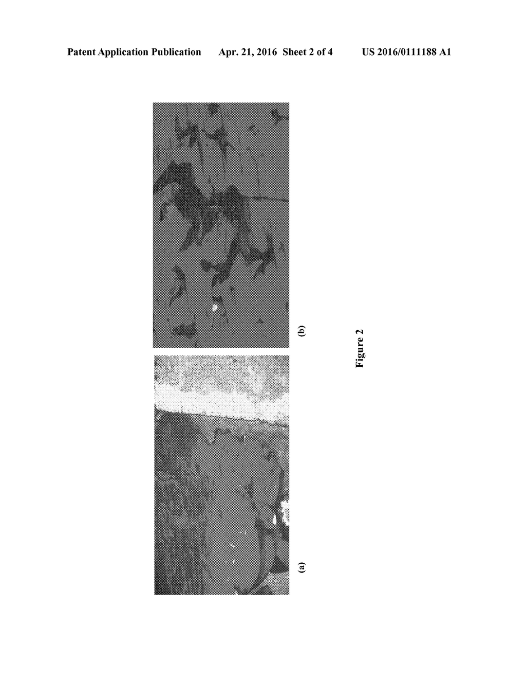 Multi-Filament Superconducting Composites - diagram, schematic, and image 03