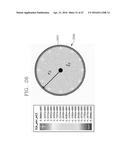 APPARATUS FOR WIRELESS POWER TRANSFER, APPARATUS FOR WIRELESS POWER     RECEPTION AND COIL STRUCTURE diagram and image