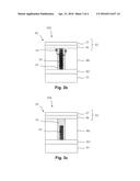 LIVING RESISTIVE MEMORY DEVICE diagram and image