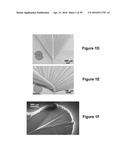 FABRICATION OF BISCROLLED FIBER USING CARBON NANOTUBE SHEET diagram and image