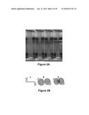 FABRICATION OF BISCROLLED FIBER USING CARBON NANOTUBE SHEET diagram and image