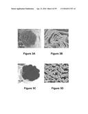 FABRICATION OF BISCROLLED FIBER USING CARBON NANOTUBE SHEET diagram and image