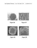 FABRICATION OF BISCROLLED FIBER USING CARBON NANOTUBE SHEET diagram and image