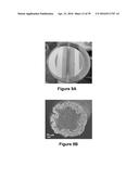 FABRICATION OF BISCROLLED FIBER USING CARBON NANOTUBE SHEET diagram and image