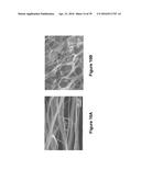 FABRICATION OF BISCROLLED FIBER USING CARBON NANOTUBE SHEET diagram and image