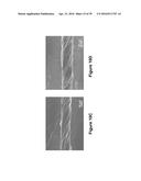 FABRICATION OF BISCROLLED FIBER USING CARBON NANOTUBE SHEET diagram and image