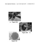 FABRICATION OF BISCROLLED FIBER USING CARBON NANOTUBE SHEET diagram and image
