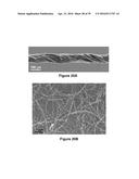 FABRICATION OF BISCROLLED FIBER USING CARBON NANOTUBE SHEET diagram and image