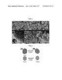 CENTRIFUGATION-ASSISTED PREPARATION OF ADDITIVE-FREE CARBON-DECORATED     MAGNETITE ELECTRODES diagram and image