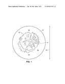 METHOD OF ASSEMBLING A PLATFORM TO SUPPORT A TREE AND ROOTBALL FOR TREE     RELOCATION diagram and image