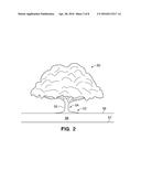 METHOD OF ASSEMBLING A PLATFORM TO SUPPORT A TREE AND ROOTBALL FOR TREE     RELOCATION diagram and image