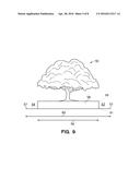 METHOD OF ASSEMBLING A PLATFORM TO SUPPORT A TREE AND ROOTBALL FOR TREE     RELOCATION diagram and image