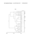 LACTOBACILLUS PLANTARUM STRAIN FOR THE CONTROL OF FIRE BLIGHT diagram and image