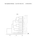 LACTOBACILLUS PLANTARUM STRAIN FOR THE CONTROL OF FIRE BLIGHT diagram and image