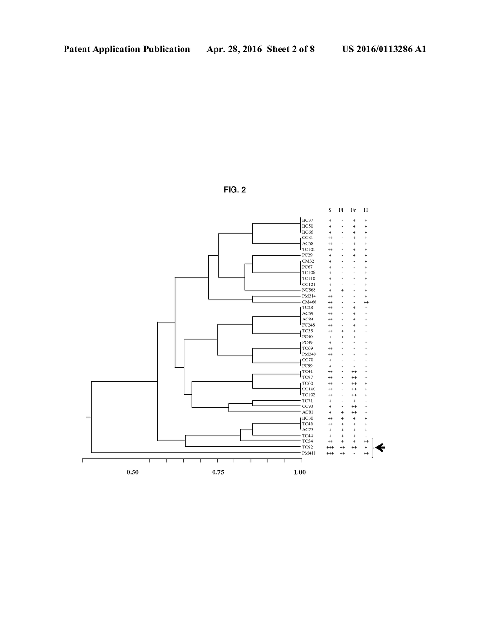 LACTOBACILLUS PLANTARUM STRAIN FOR THE CONTROL OF FIRE BLIGHT - diagram, schematic, and image 03