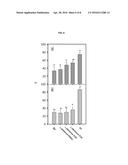 LACTOBACILLUS PLANTARUM STRAIN FOR THE CONTROL OF FIRE BLIGHT diagram and image