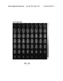 Functional Magnetic Resonance Imaging (fMRI) Methodology Using Transverse     Relaxation Preparation and Non-Echo-Planar Imaging (EPI) Pulse Sequences diagram and image