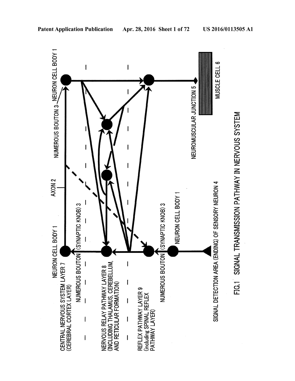 MEASURING METHOD OF LIFE ACTIVITY, MEASURING DEVICE OF LIFE ACTIVITY,     TRANSMISSION METHOD OF LIFE ACTIVITY DETECTION SIGNAL, OR SERVICE BASED     ON LIFE ACTIVITY INFORMATION - diagram, schematic, and image 02