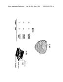 METHOD FOR COMPUTATIONALLY PREDICTING OPTIMAL PLACEMENT SITES FOR INTERNAL     DEFIBRILLATORS IN PEDIATRIC AND  CONGENITAL HEART DEFECT PATIENTS diagram and image