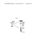 LIGHT SOURCE, DETECTOR AND LUMINESCENT COMPOSITE diagram and image