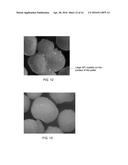 ORAL DOSAGE FORMS OF METHYL HYDROGEN FUMARATE AND PRODRUGS THEREOF diagram and image