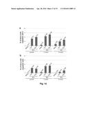 Small Molecule Inhibitors of Dusp6 and Uses Therefor diagram and image