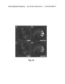 Small Molecule Inhibitors of Dusp6 and Uses Therefor diagram and image